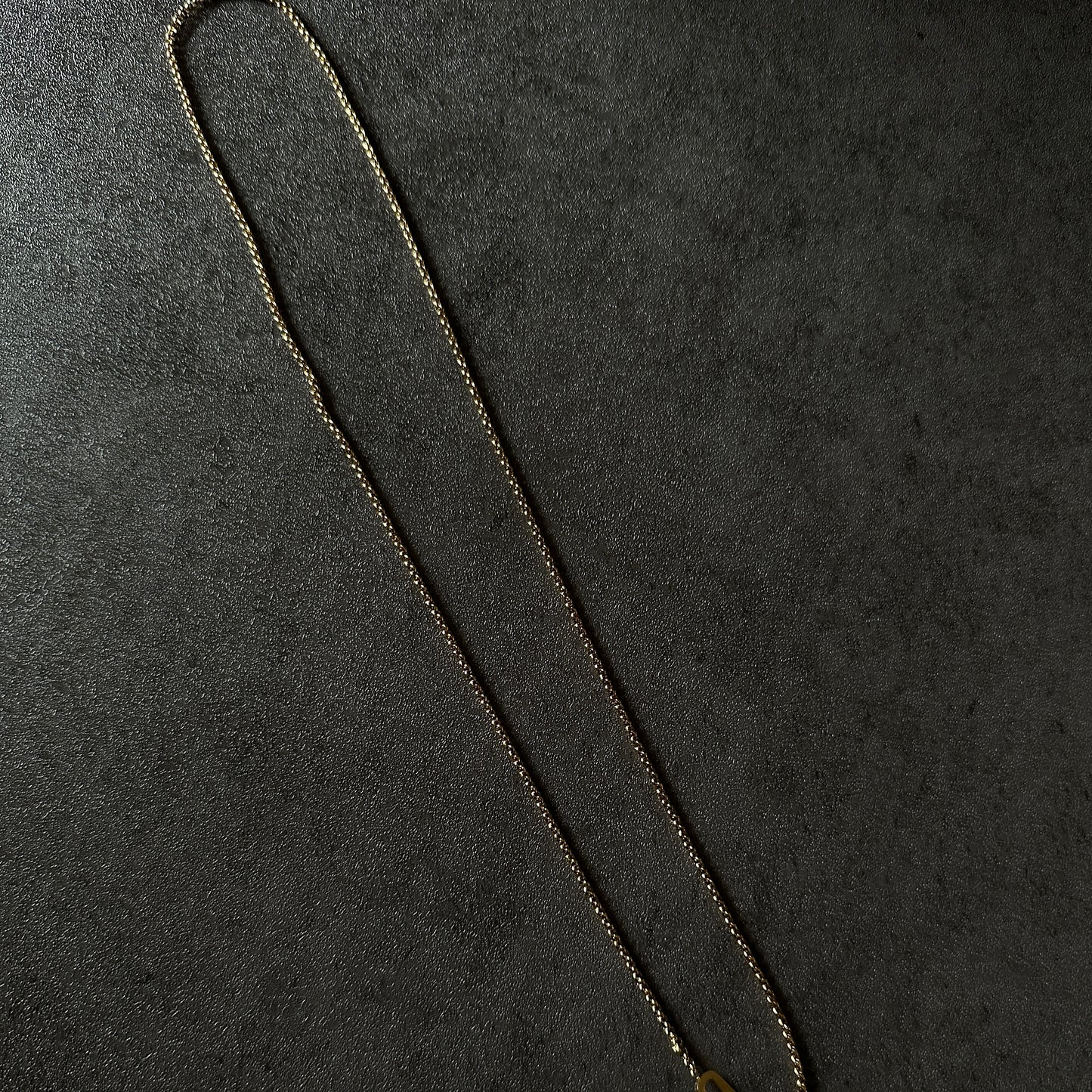 316L Y lariat rong necklace gld